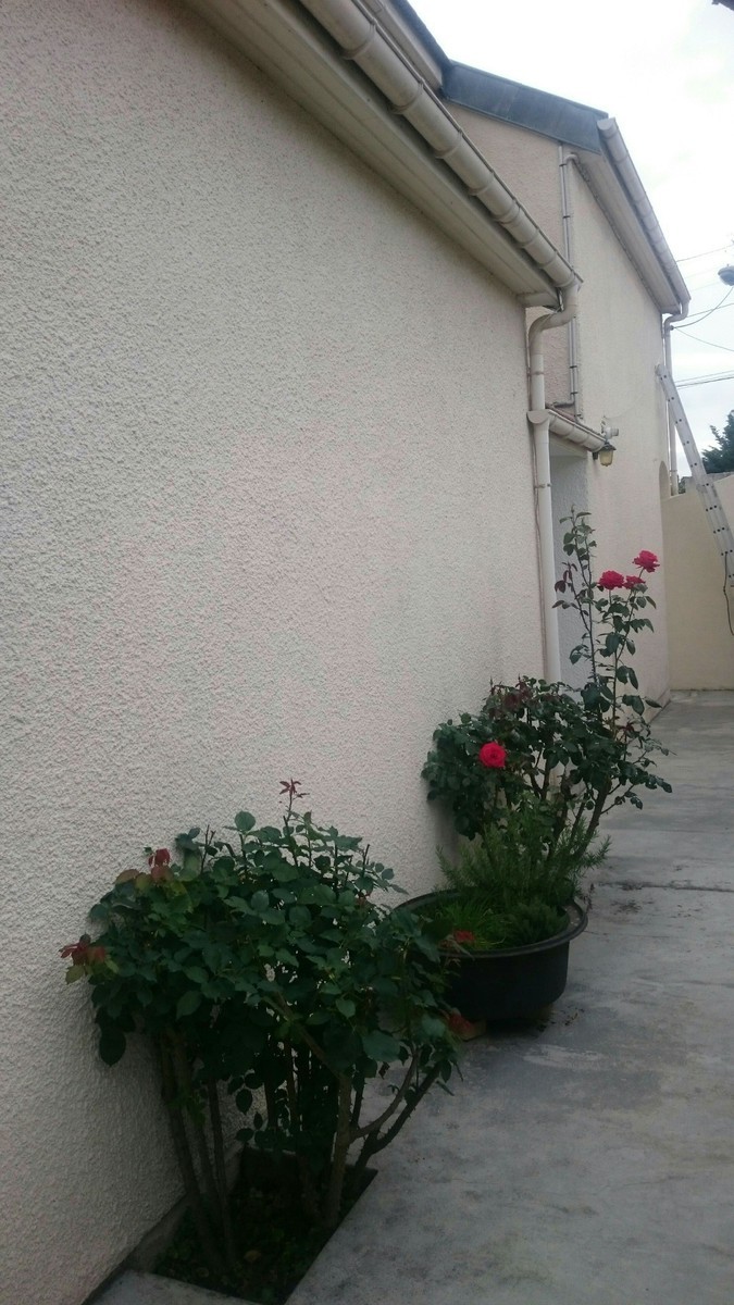 4 6