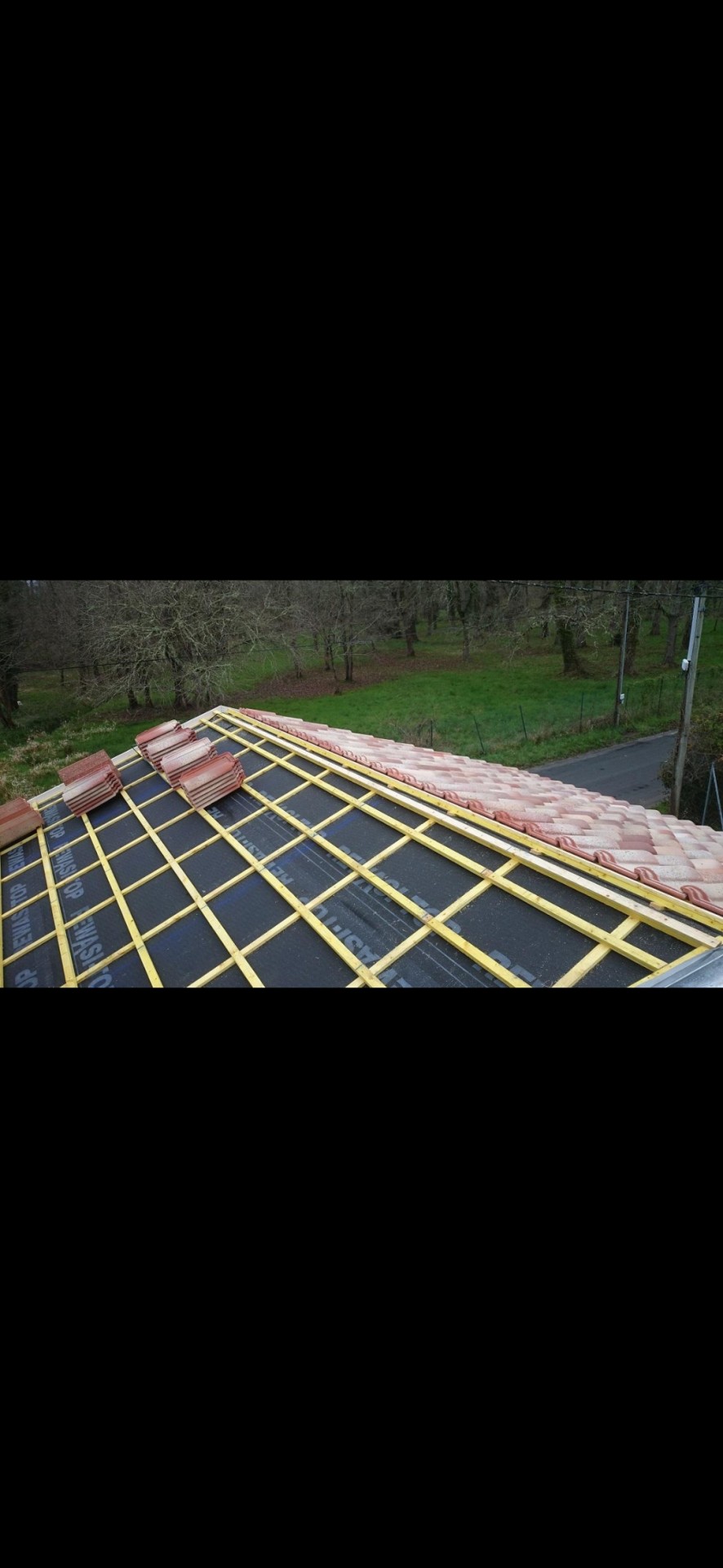 Img 0009