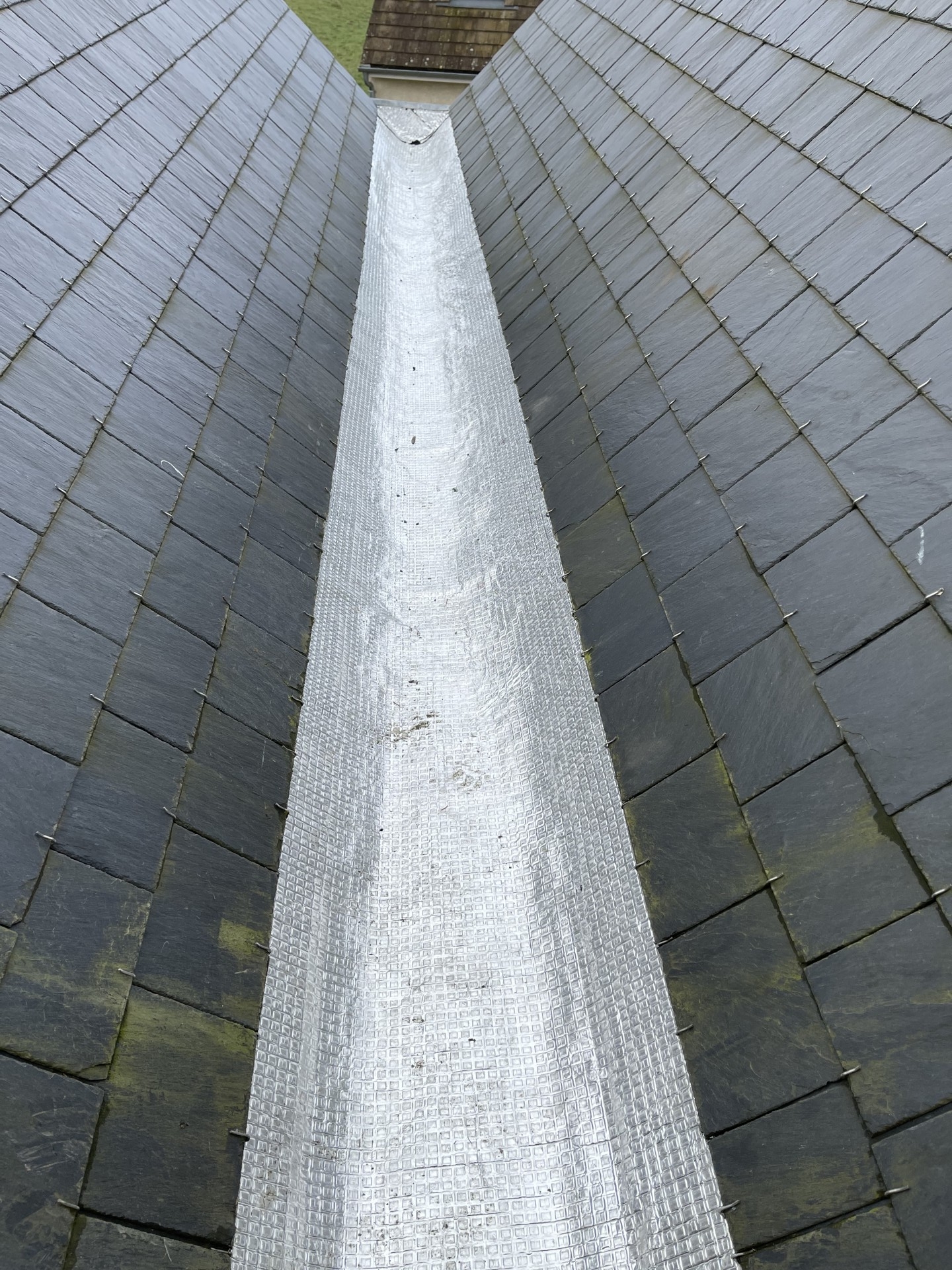 Img 0481