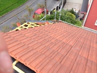 Img 0559