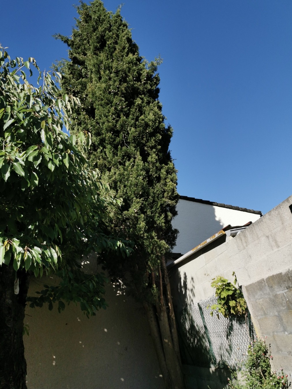 Img e0142