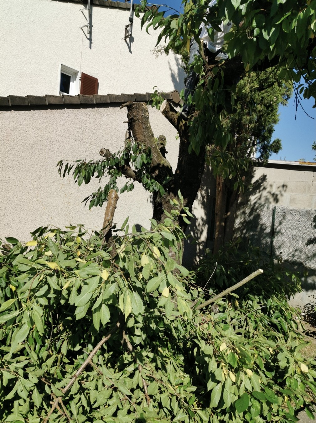 Img e0143